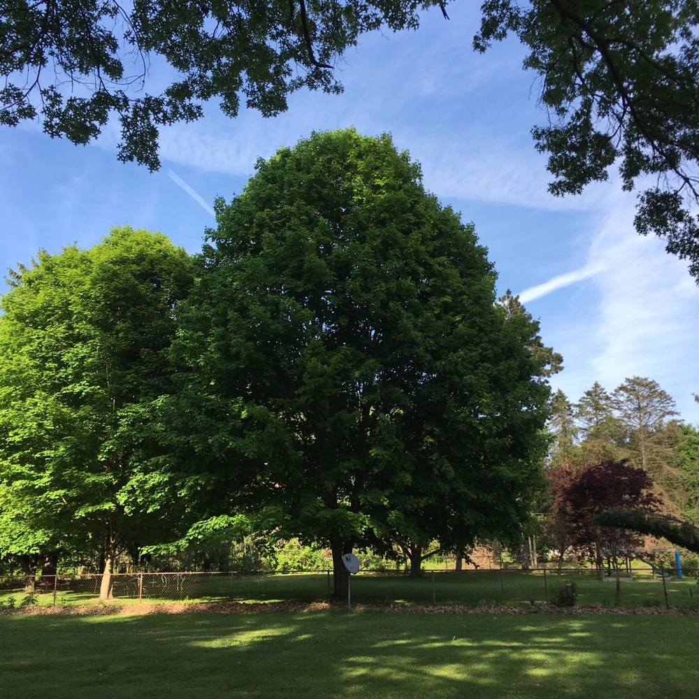 Hello! - Picture 6 of 16